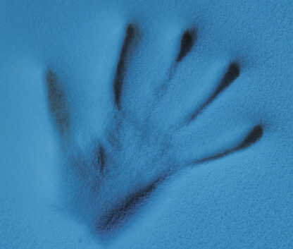 Memory - immagine 2