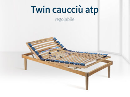 TwinCaucciuATP