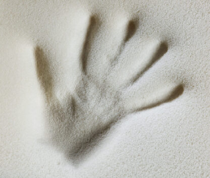 Perfetto AP - immagine 3