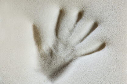 Melody - immagine 6